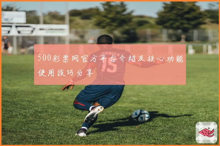 500彩票网官方平台介绍及核心功能使用技巧分享